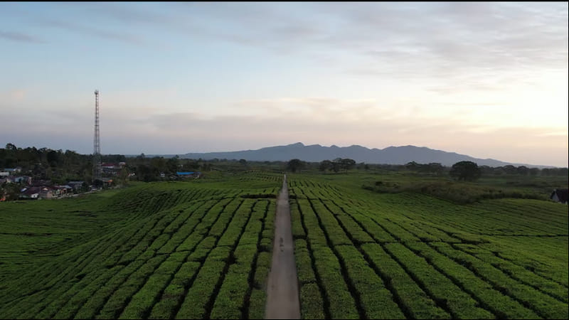 PalmCo Dukung APRC 2025