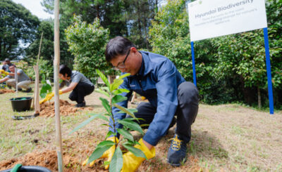 Hyundai Tanam Pohon di TNGHS