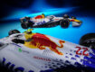 Honda Red Bull