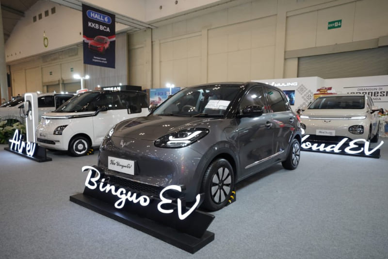 BinguoEV