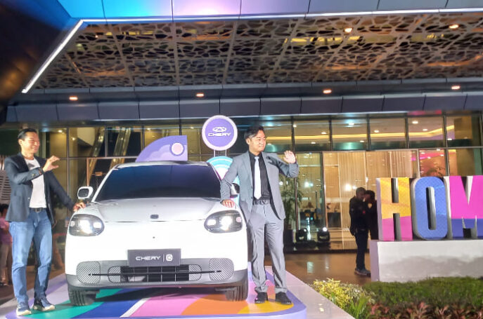 Chery Q