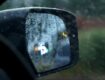 Blind Spot Warning