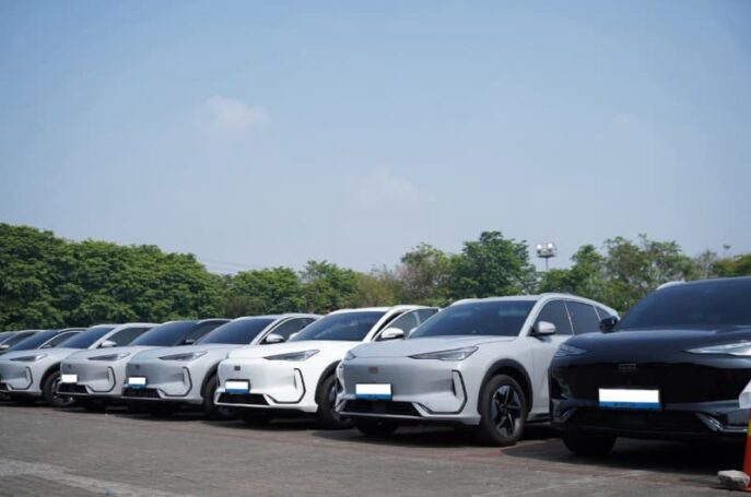 Geely Owners