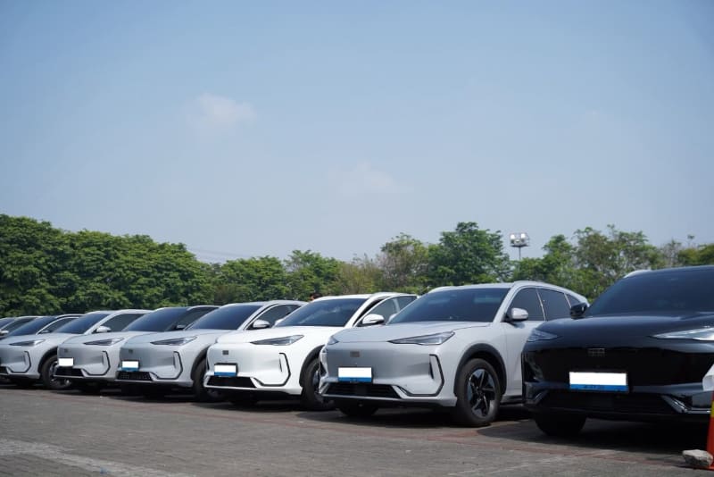 Geely Owners