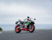 Aprilia RS 660 Phillip Island Tribute
